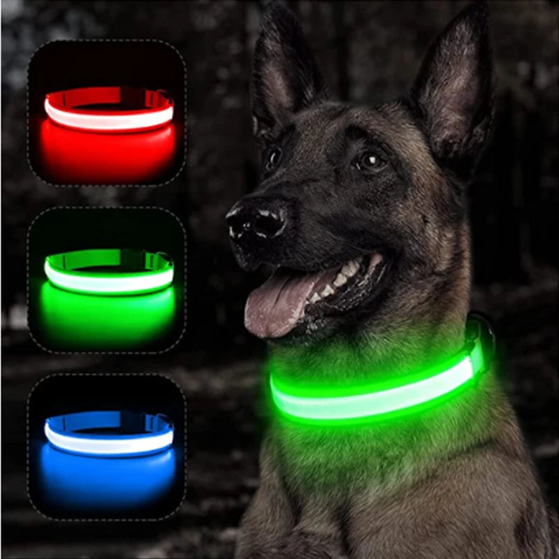 USB Charging Glowing Dog Collar with Pendant – Luminous LED Light Dog Collar for Safety – Available in XS-XXL