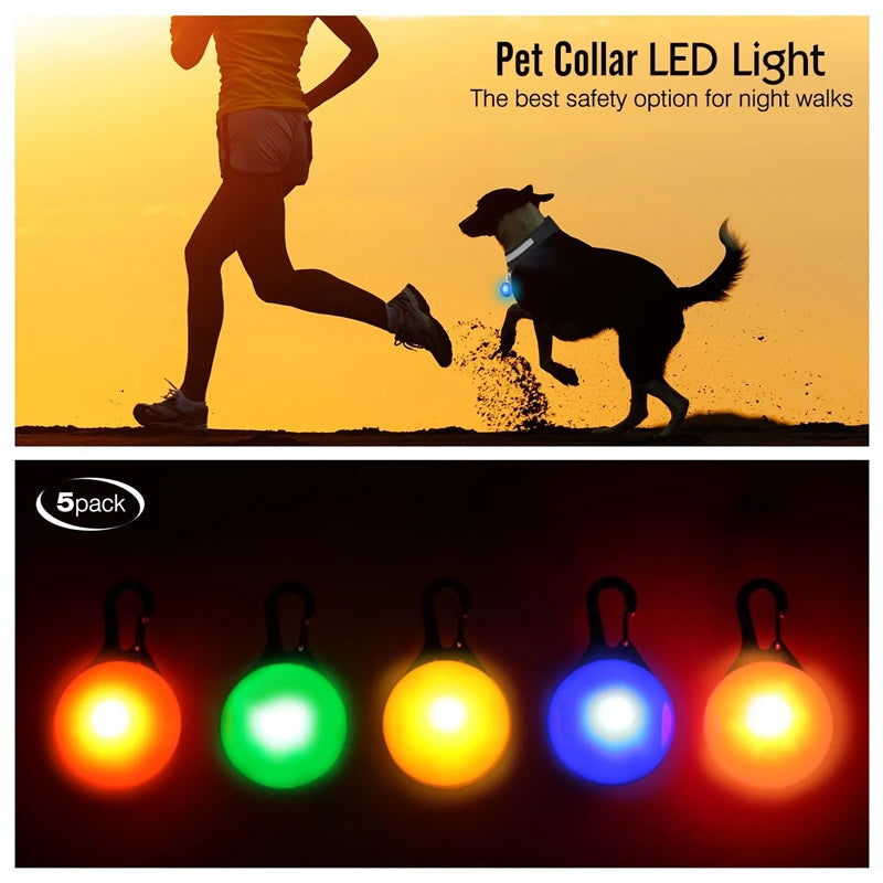 USB Charging Glowing Dog Collar with Pendant – Luminous LED Light Dog Collar for Safety – Available in XS-XXL