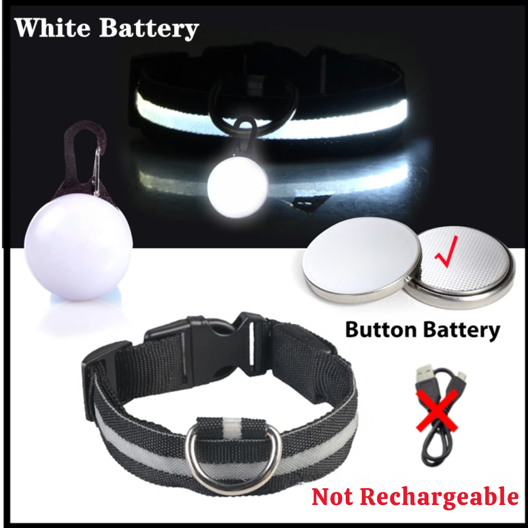 USB Charging Glowing Dog Collar with Pendant – Luminous LED Light Dog Collar for Safety – Available in XS-XXL