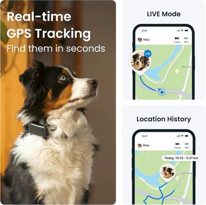GPS Dog Tracker with Real-Time Updates | Virtual Fences, Bark Monitoring & Waterproof Design