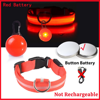 USB Charging Glowing Dog Collar with Pendant – Luminous LED Light Dog Collar for Safety – Available in XS-XXL
