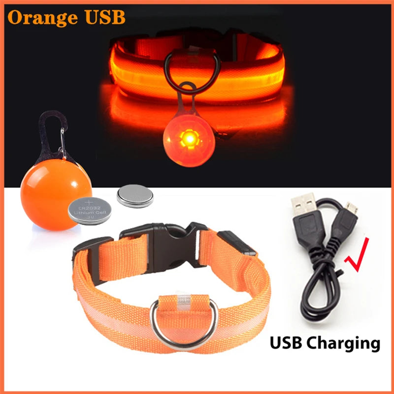USB Charging Glowing Dog Collar with Pendant – Luminous LED Light Dog Collar for Safety – Available in XS-XXL