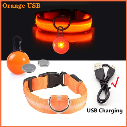 USB Charging Glowing Dog Collar with Pendant – Luminous LED Light Dog Collar for Safety – Available in XS-XXL