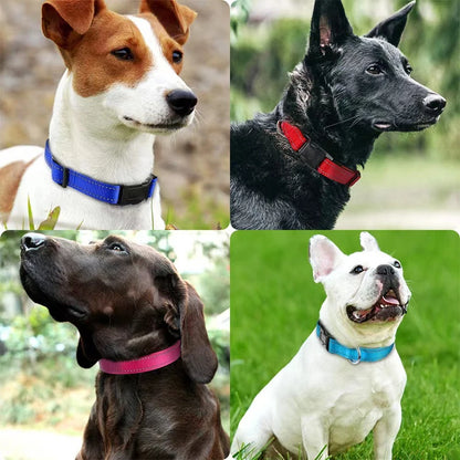 Reflective Dog Collar for Medium & Large Dogs – Adjustable, Soft Neoprene Padded Nylon, Sturdy & Comfortable