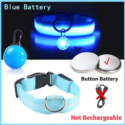 USB Charging Glowing Dog Collar with Pendant – Luminous LED Light Dog Collar for Safety – Available in XS-XXL