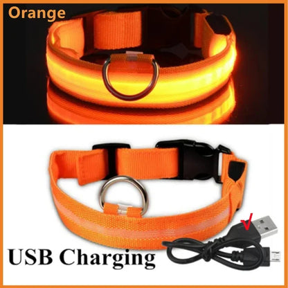 LED Glowing Dog Collar - Rechargeable Night Safety Flashing Pet Collar for Small Dogs with Adjustable Sizes