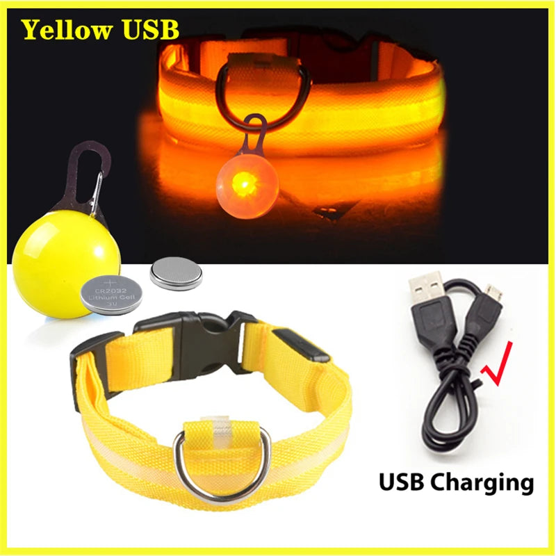 USB Charging Glowing Dog Collar with Pendant – Luminous LED Light Dog Collar for Safety – Available in XS-XXL