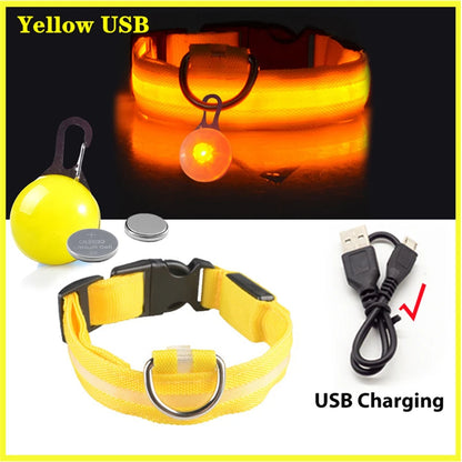 USB Charging Glowing Dog Collar with Pendant – Luminous LED Light Dog Collar for Safety – Available in XS-XXL
