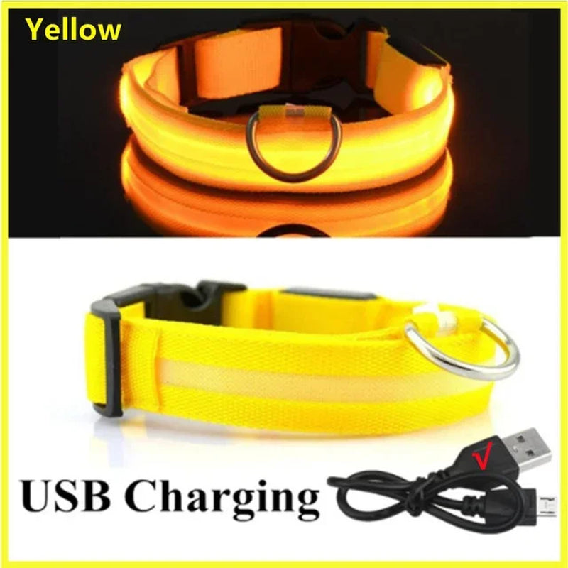 LED Glowing Dog Collar - Rechargeable Night Safety Flashing Pet Collar for Small Dogs with Adjustable Sizes