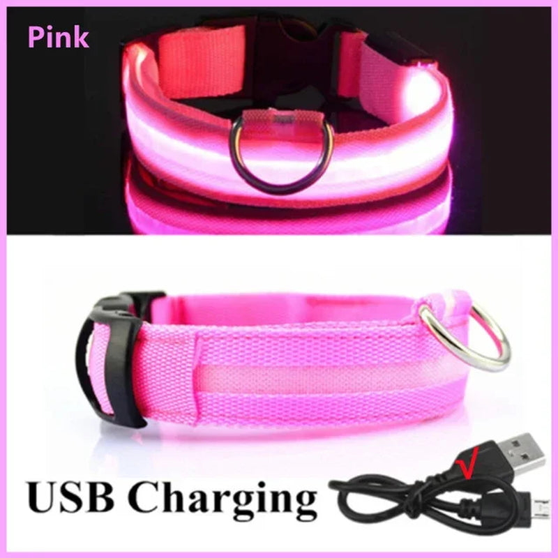 LED Glowing Dog Collar - Rechargeable Night Safety Flashing Pet Collar for Small Dogs with Adjustable Sizes