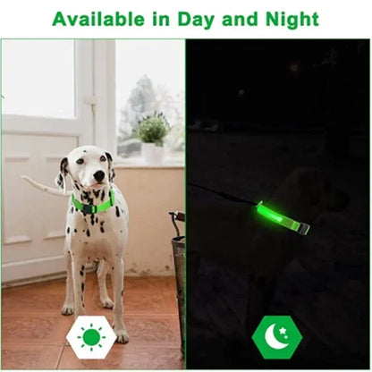 LED Glowing Dog Collar - Rechargeable Night Safety Flashing Pet Collar for Small Dogs with Adjustable Sizes