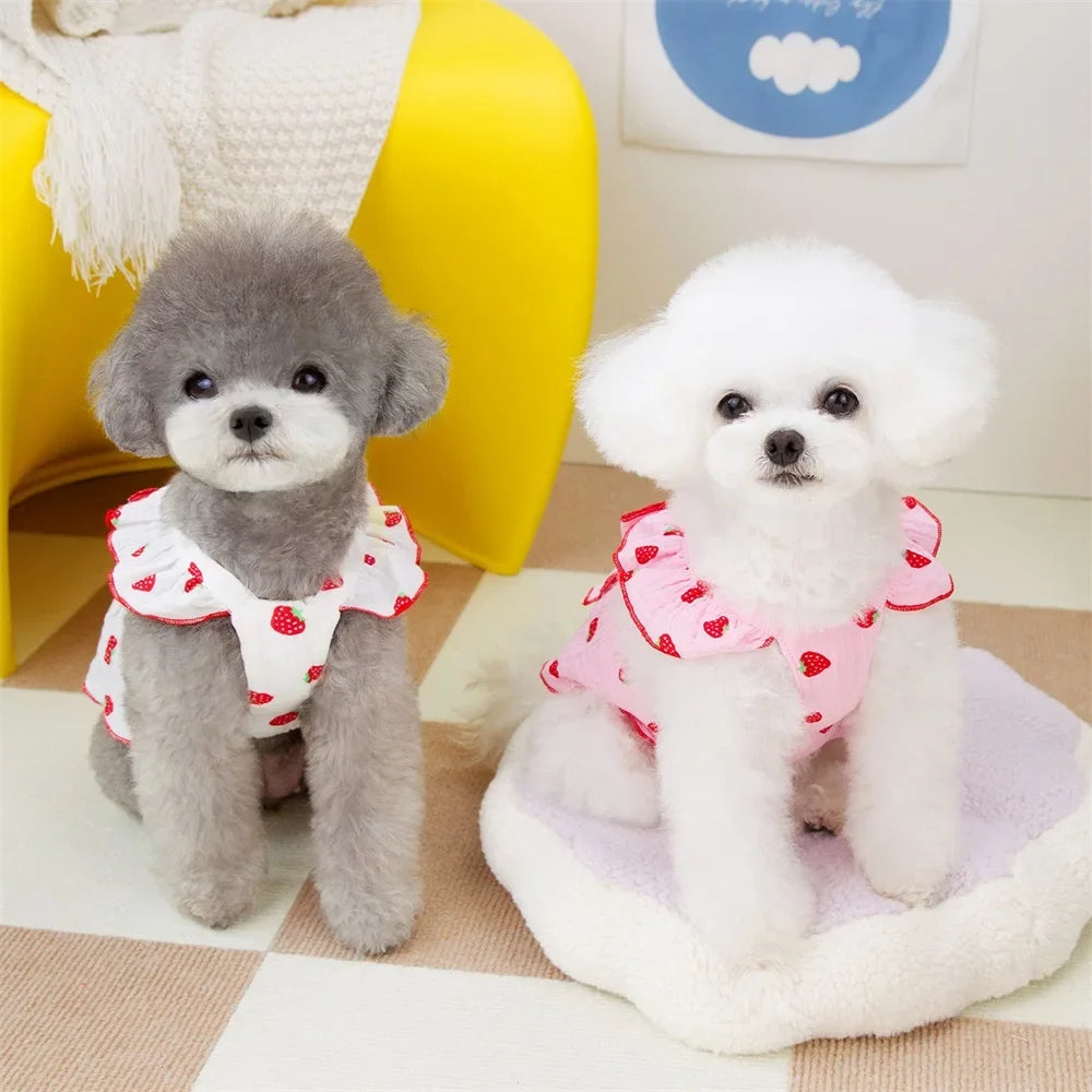 Strawberry Pattern Summer Dress for Dogs – Cute Suspender Skirt for Small Dogs, Cats & Puppies