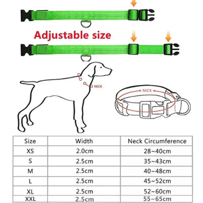LED Glowing Dog Collar - Rechargeable Night Safety Flashing Pet Collar for Small Dogs with Adjustable Sizes