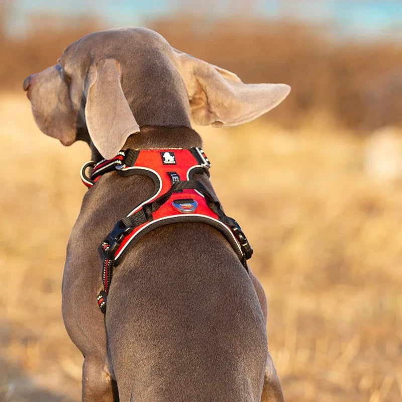 Truelove Reflective Nylon Dog Harness | No Pull, Adjustable Vest for Medium & Large Dogs | Comfortable & Safe Walking