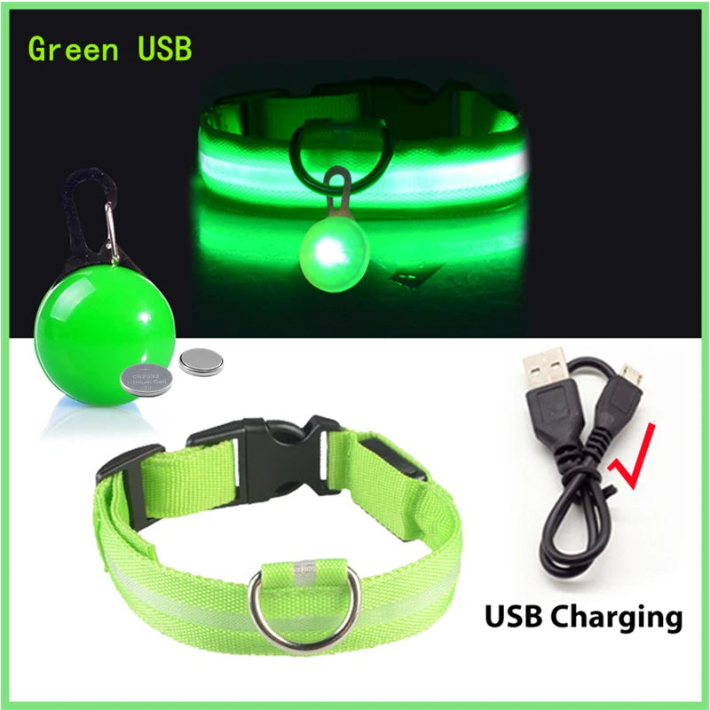 USB Charging Glowing Dog Collar with Pendant – Luminous LED Light Dog Collar for Safety – Available in XS-XXL