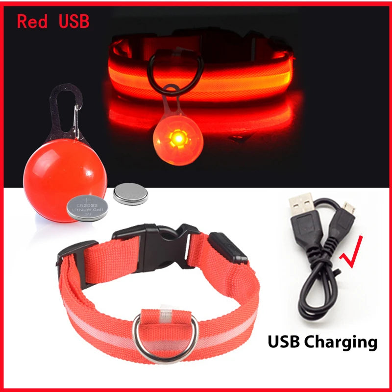 USB Charging Glowing Dog Collar with Pendant – Luminous LED Light Dog Collar for Safety – Available in XS-XXL