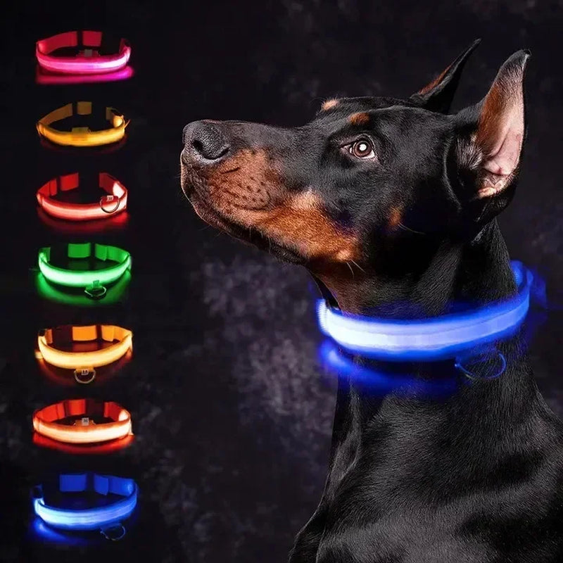 LED Glowing Dog Collar - Rechargeable Night Safety Flashing Pet Collar for Small Dogs with Adjustable Sizes