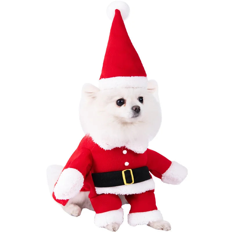 Halloween Dagger Pet Costume – Funny Knife Holding Dog Clothes & Cat Transformation Outfit