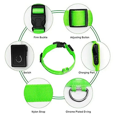 LED Glowing Dog Collar - Rechargeable Night Safety Flashing Pet Collar for Small Dogs with Adjustable Sizes