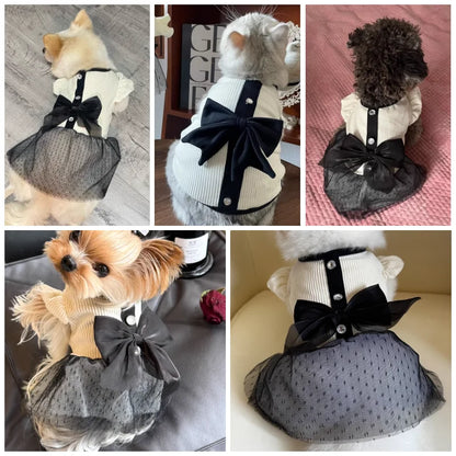 Luxury Dog Dress for Small Dogs – Summer Puppy Clothes with Bow Lace & T-Shirt Design | Chic Dog Skirt for Chihuahua & Small Breeds