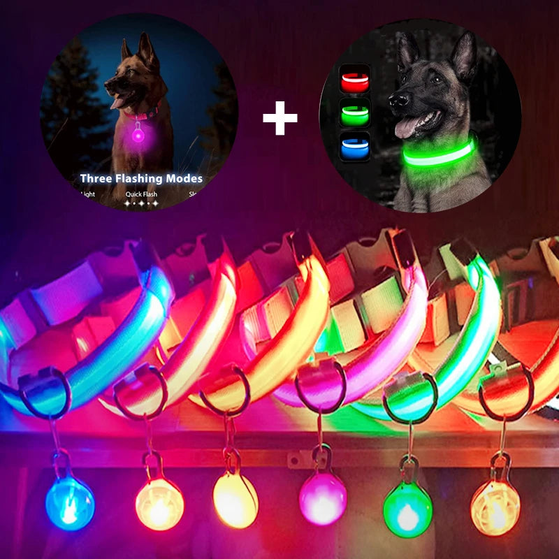USB Charging Glowing Dog Collar with Pendant – Luminous LED Light Dog Collar for Safety – Available in XS-XXL