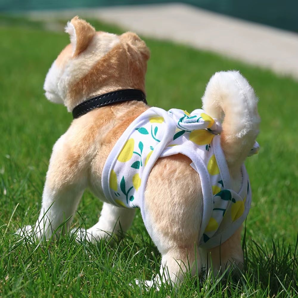 S-XL Washable Dog Diapers for Female Dogs – Reusable Physiological Panties for Puppies & Dogs in Heat | Soft Polyester Underwear