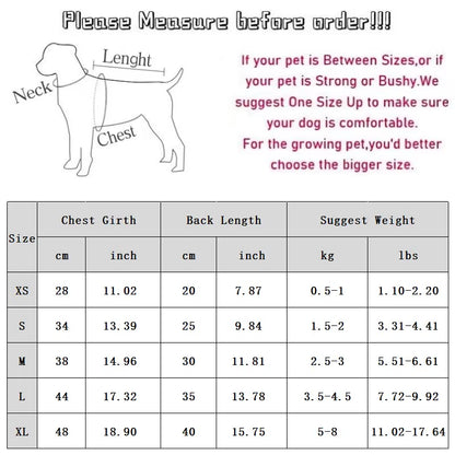 Luxury Dog Dress for Small Dogs – Summer Puppy Clothes with Bow Lace & T-Shirt Design | Chic Dog Skirt for Chihuahua & Small Breeds
