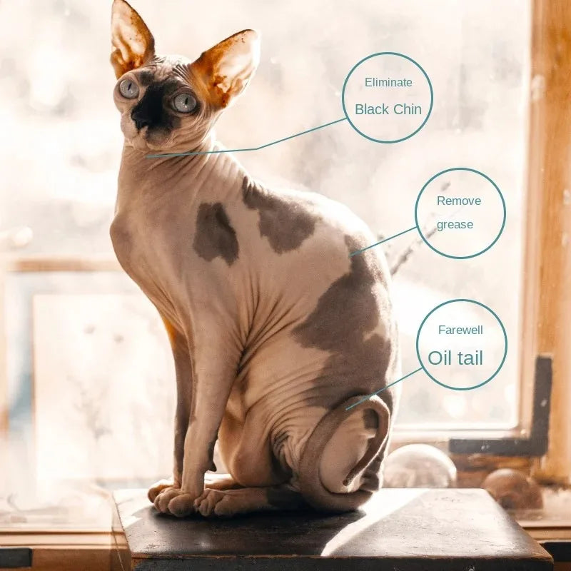 500ml Sphinx Cat Shampoo – Oil Control Body Wash for Hairless Cats, Gentle Pet Shower Gel