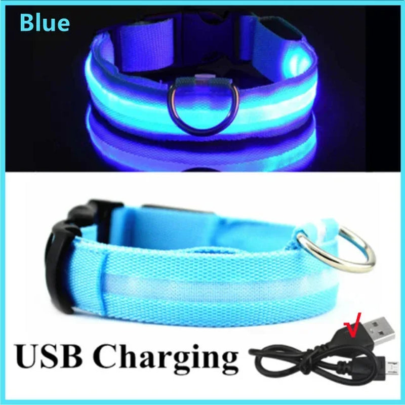 LED Glowing Dog Collar - Rechargeable Night Safety Flashing Pet Collar for Small Dogs with Adjustable Sizes