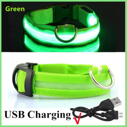 LED Glowing Dog Collar - Rechargeable Night Safety Flashing Pet Collar for Small Dogs with Adjustable Sizes