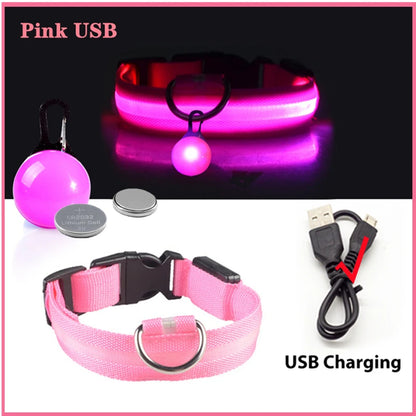 USB Charging Glowing Dog Collar with Pendant – Luminous LED Light Dog Collar for Safety – Available in XS-XXL