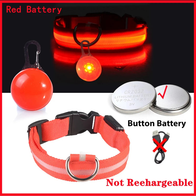 USB Charging Glowing Dog Collar with Pendant – Luminous LED Light Dog Collar for Safety – Available in XS-XXL