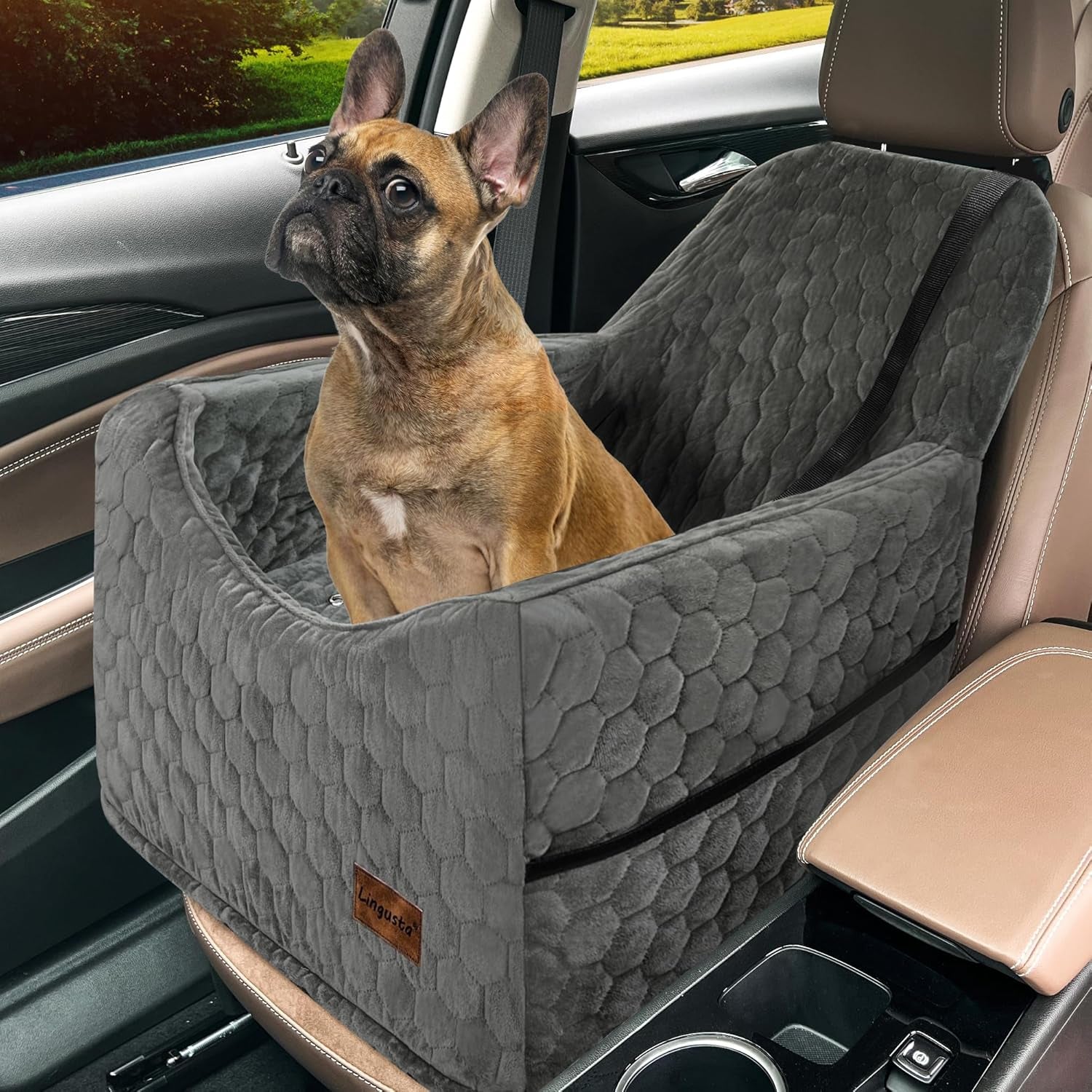 Memory Foam Dog Car Seat for Small & Medium Dogs – Washable, Adjustable, Comfortable Pet Booster Seat for Safe Car Travel