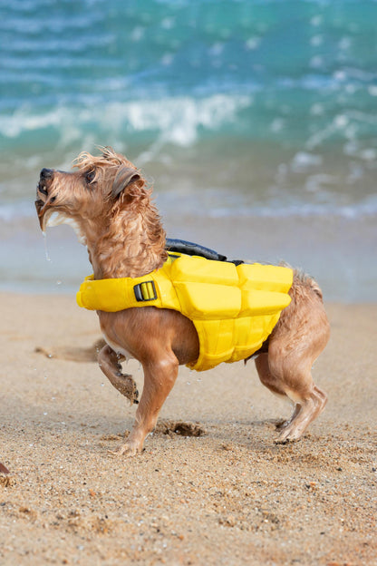 Noah & Paw Dog Life Jacket – 4X Foam Support, Human-Standard Design, and Reflective for Maximum Safety & Comfort