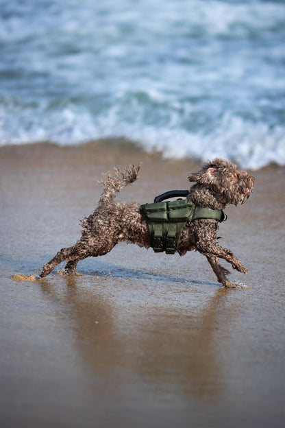 Noah & Paw Dog Life Jacket – 4X Foam Support, Human-Standard Design, and Reflective for Maximum Safety & Comfort