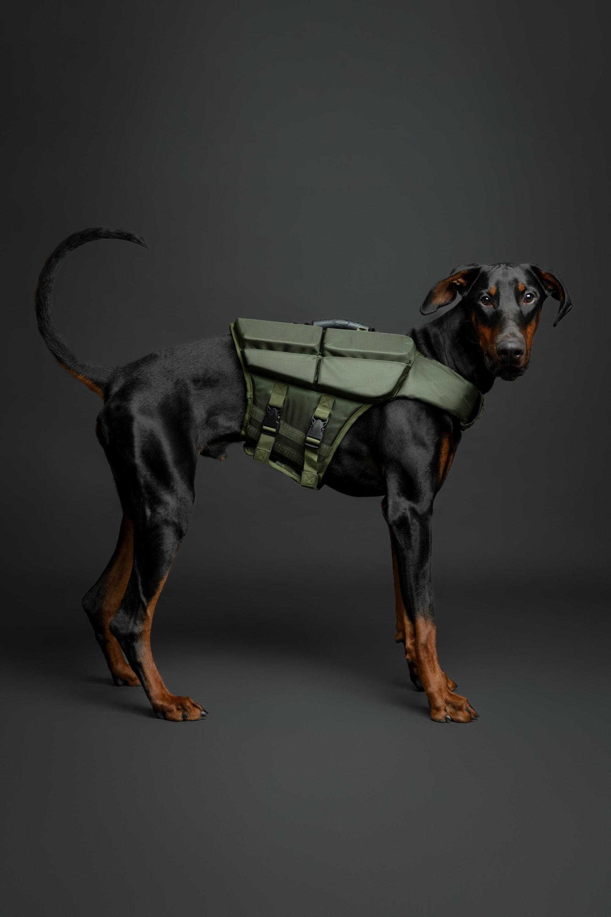Noah & Paw Dog Life Jacket – 4X Foam Support, Human-Standard Design, and Reflective for Maximum Safety & Comfort