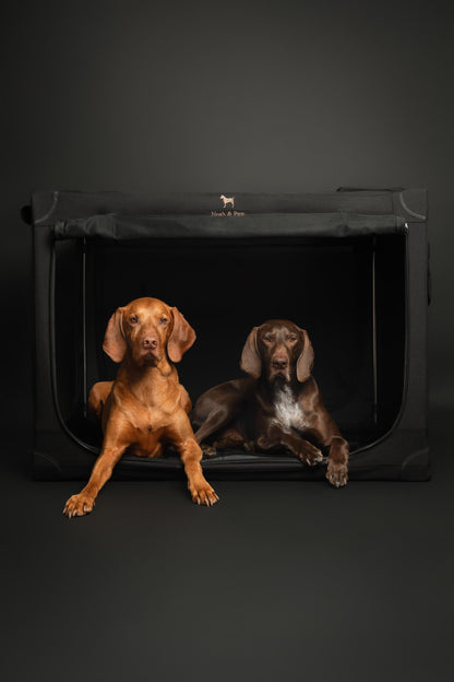 Luxury Collapsible Dog Crate – Travel-Friendly, Patented Folding Design, Plush Mat Included