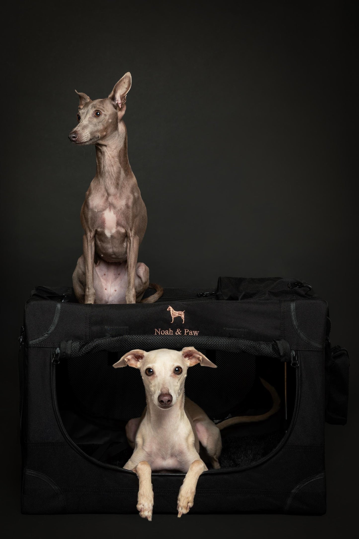 Luxury Collapsible Dog Crate – Travel-Friendly, Patented Folding Design, Plush Mat Included