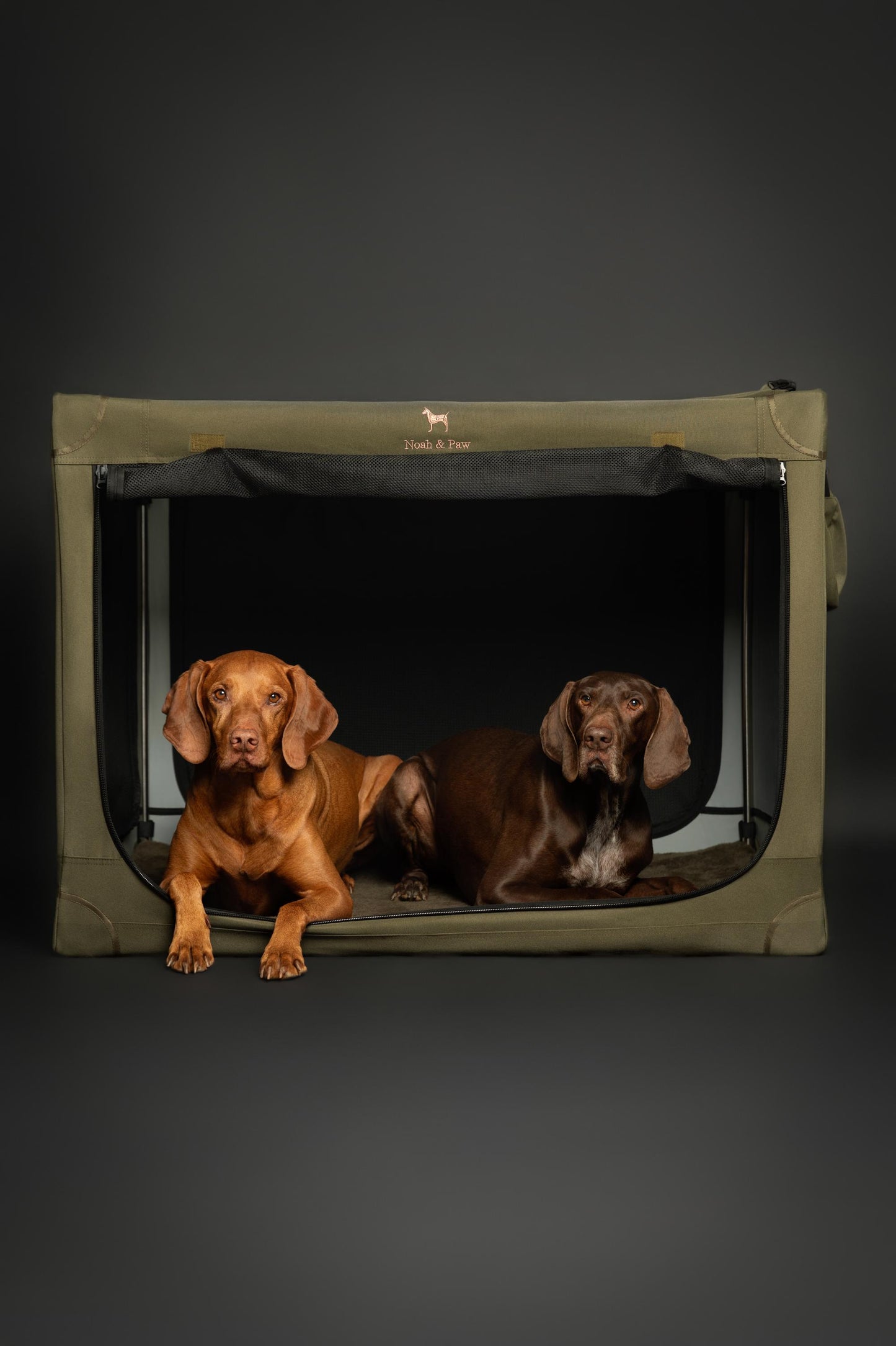 Luxury Collapsible Dog Crate – Travel-Friendly, Patented Folding Design, Plush Mat Included