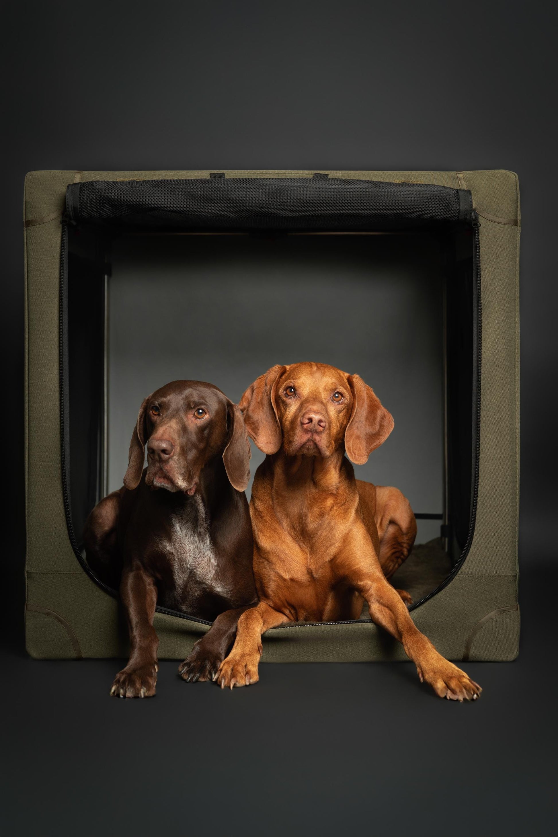 Luxury Collapsible Dog Crate – Travel-Friendly, Patented Folding Design, Plush Mat Included